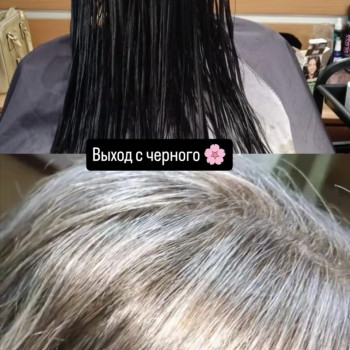 Камуфлирование седины