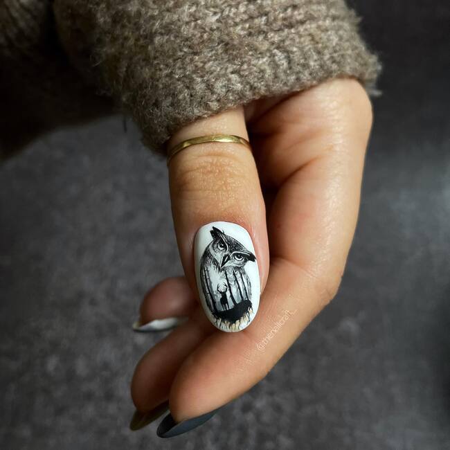 Winter Nail Design with Owls