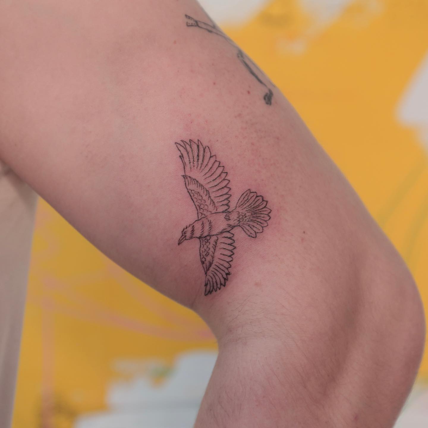 Минималистичная скандинавская татуировка с вороном