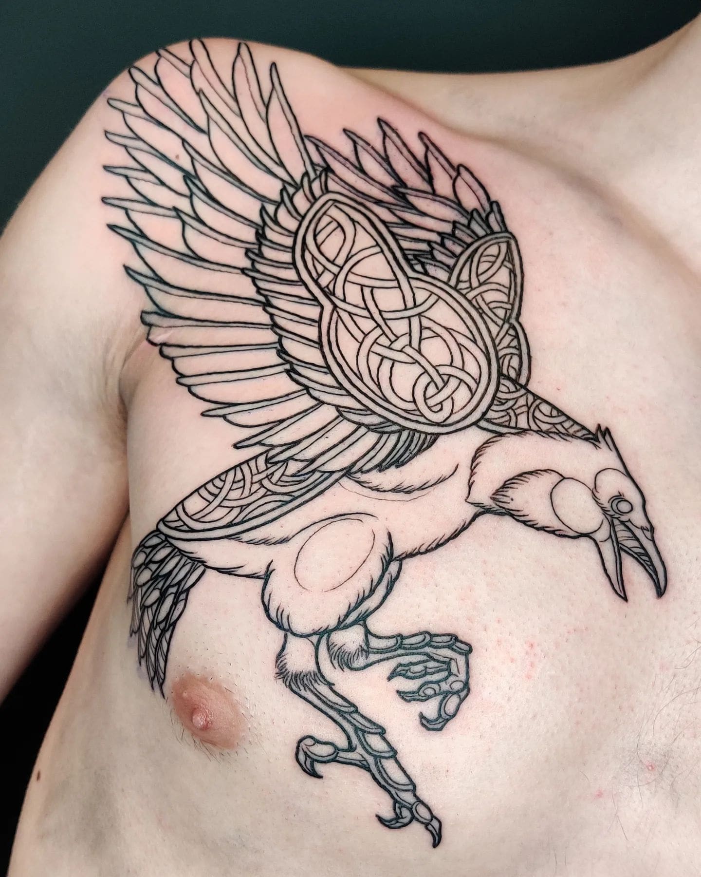 Этническая татуировка летящего ворона