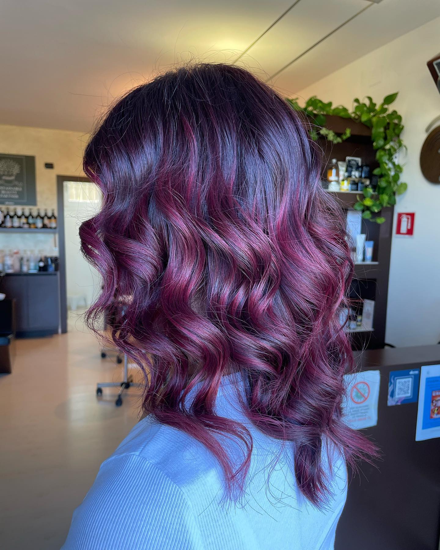 Plum and Cherry Hair Ombre