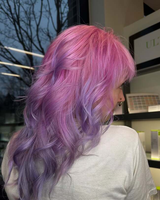 Zweifarbige Coloration mit fließendem Übergang von Rosa zu Fliederfarbe