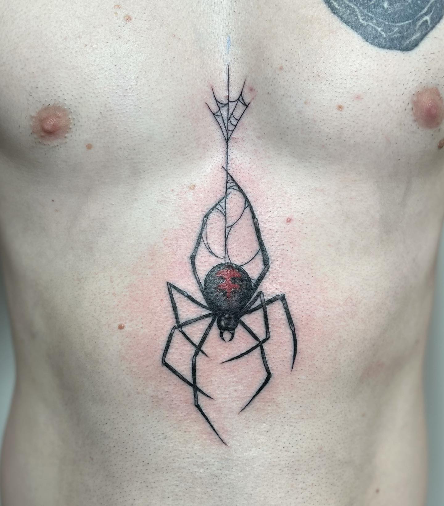 Spinnennetz-Sternum-Tattoo