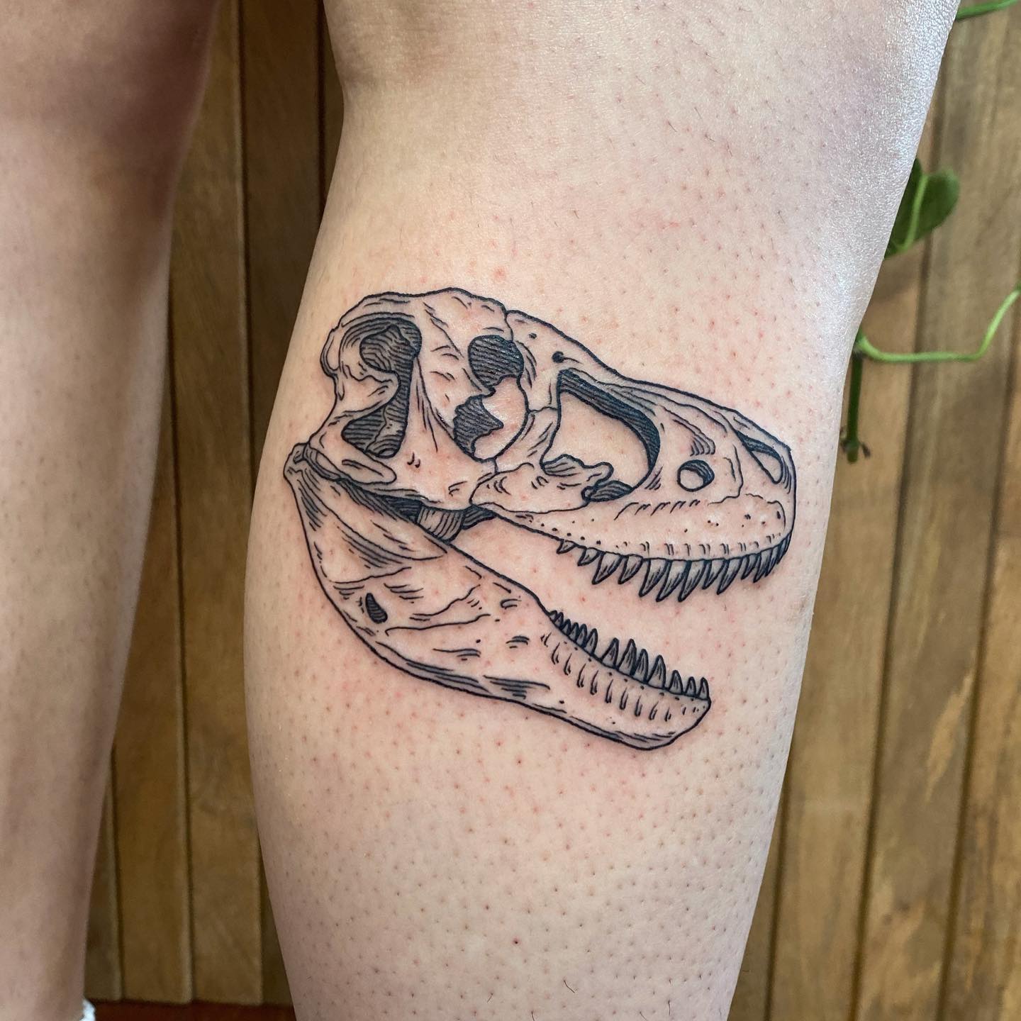 Tatuaż czaszki dinozaura na nodze