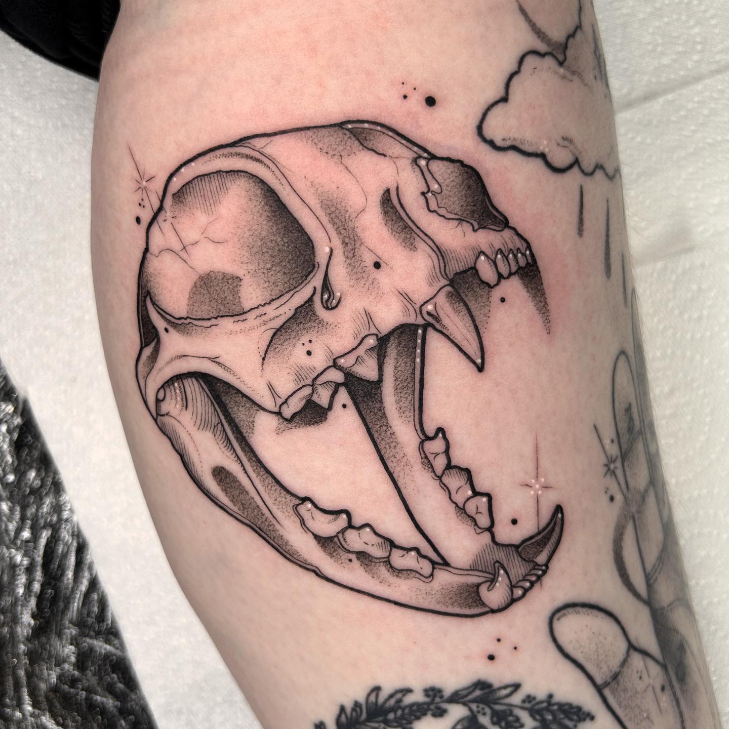 saber tooth tiger skull tattoo