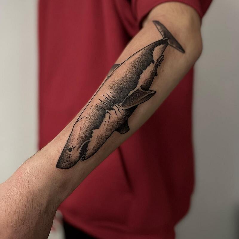 Realistyczny tatuaż rekina