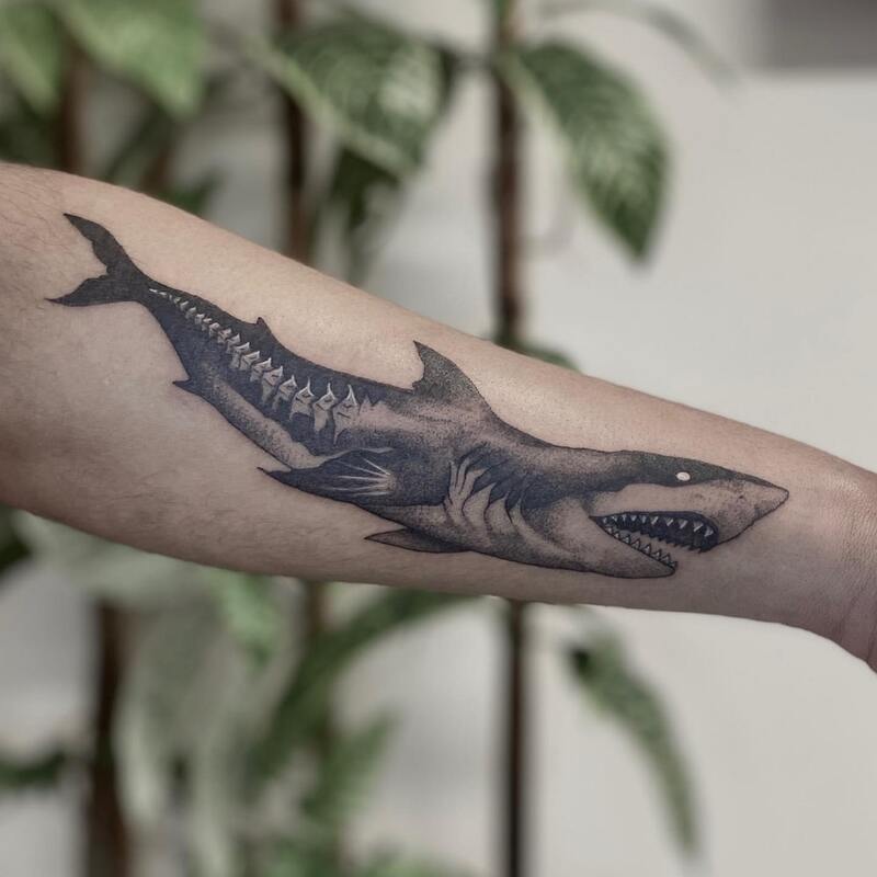 Tatuaż rekina tygrysiego