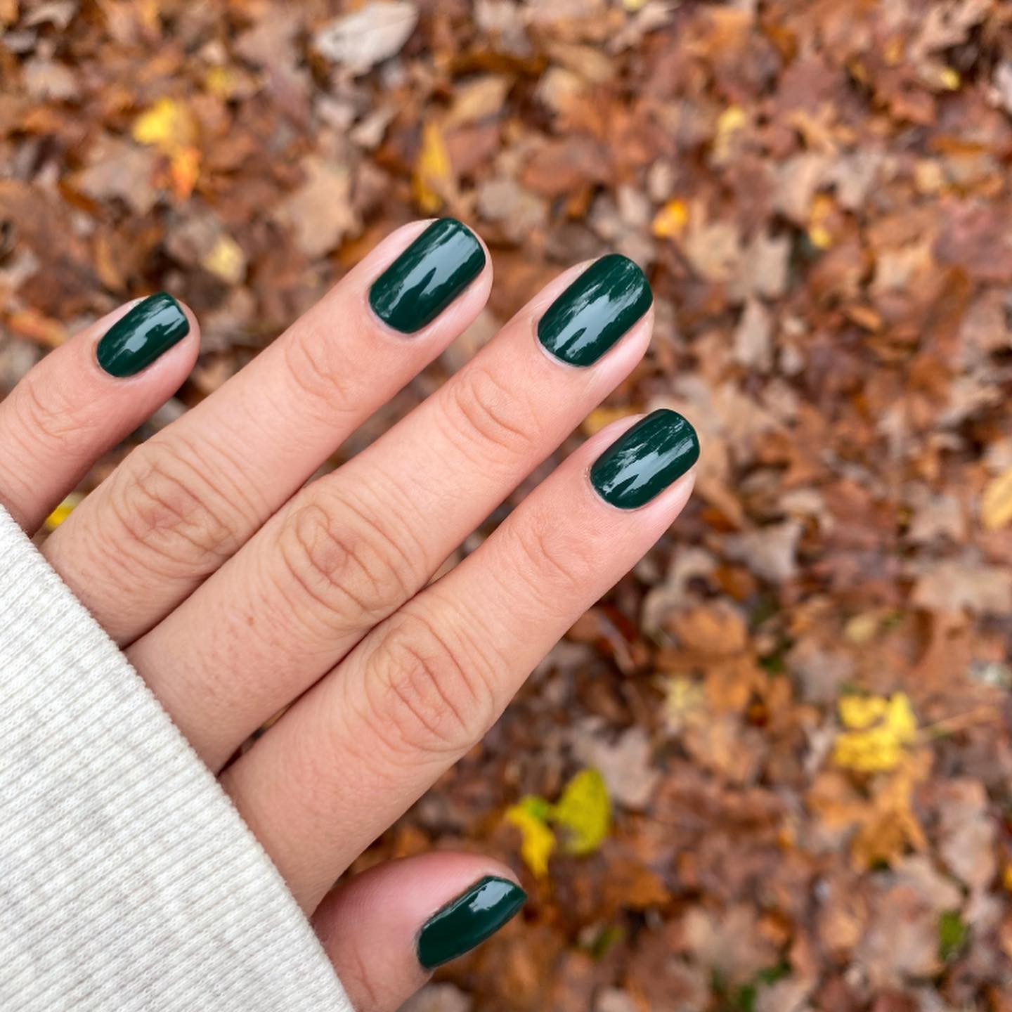 Zbliżenie ciemnych leśnych zielonych paznokci