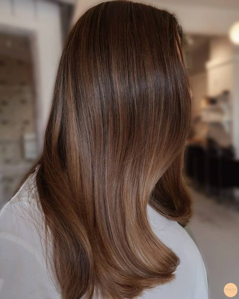 Straight brown hair with caramel highlights