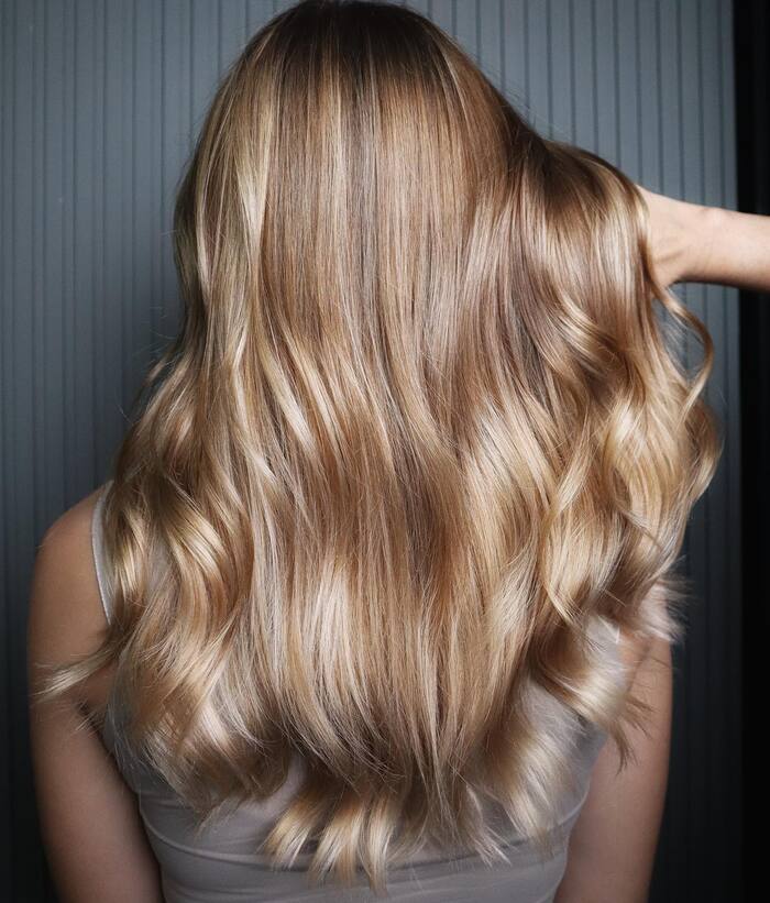 Back view of long honey caramel blonde hair