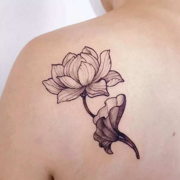 Lotus Flower With Stem Tattoo