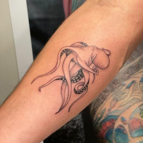 Small Outline Octopus Tattoo