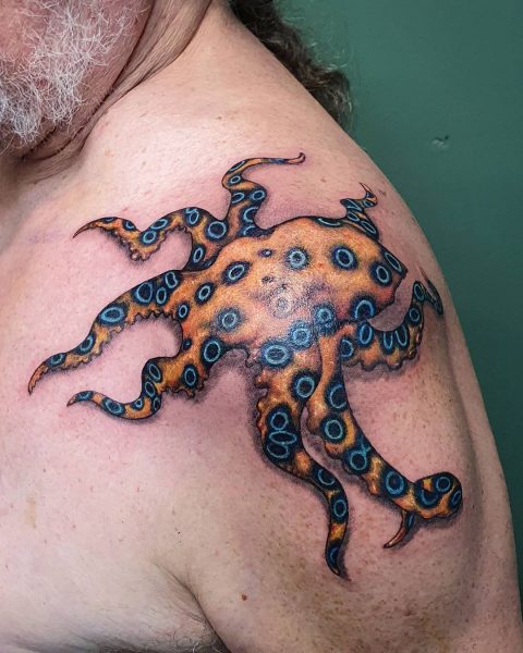 синекольчатый осьминог тату на плече