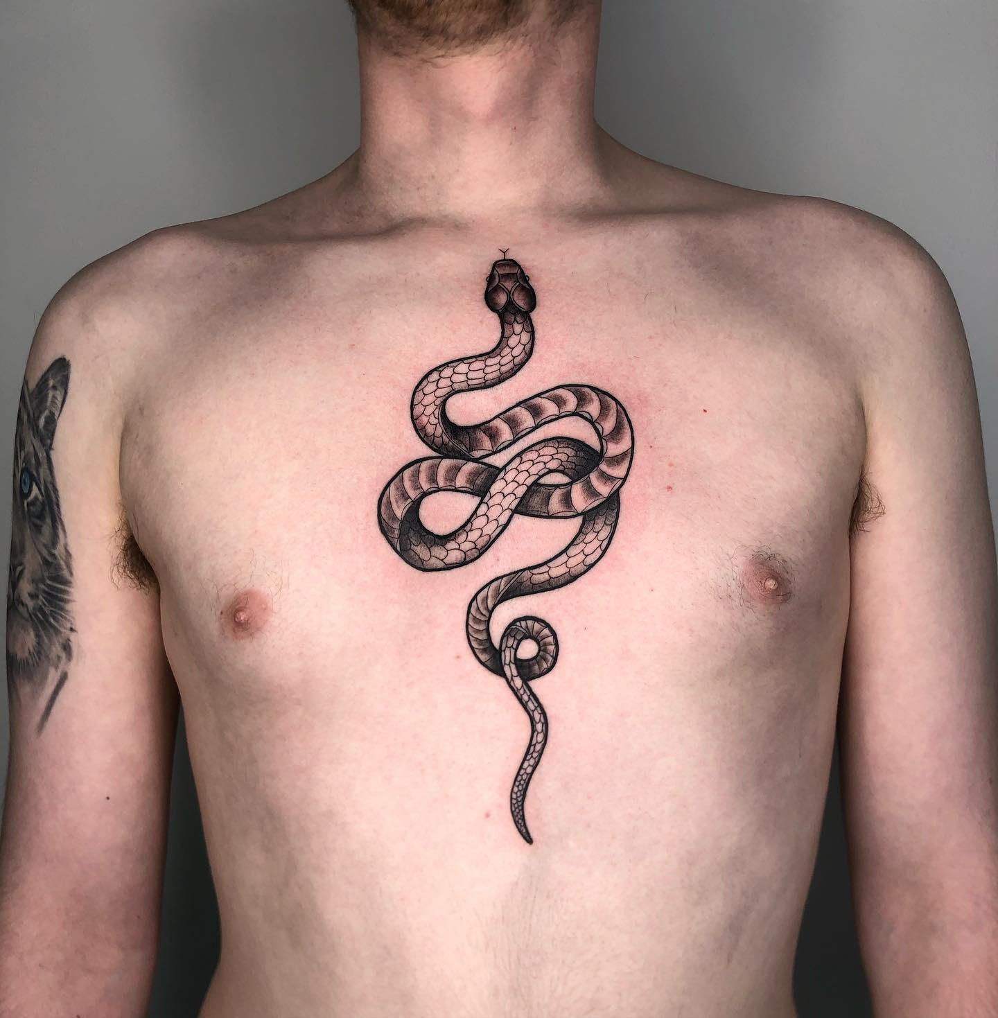Schlangentattoo auf dem Brustbein