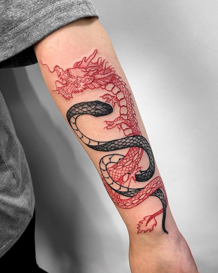 Тату змея и дракон на руке