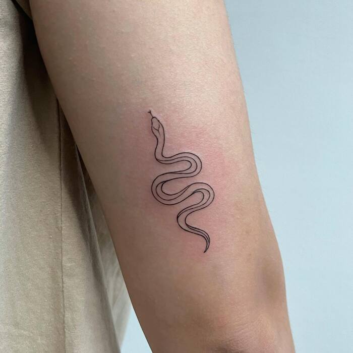 Close-up Image of the Simple Snake Arm Tattoo