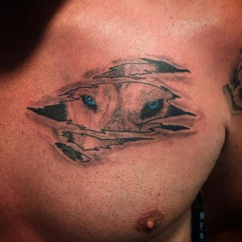 Tatuaż na klatce piersiowej w kształcie wilka