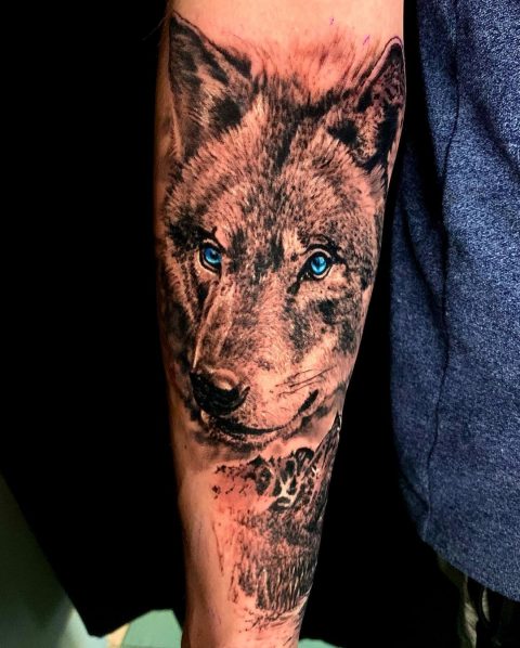 Wilk z tatuażem o niebieskich oczach