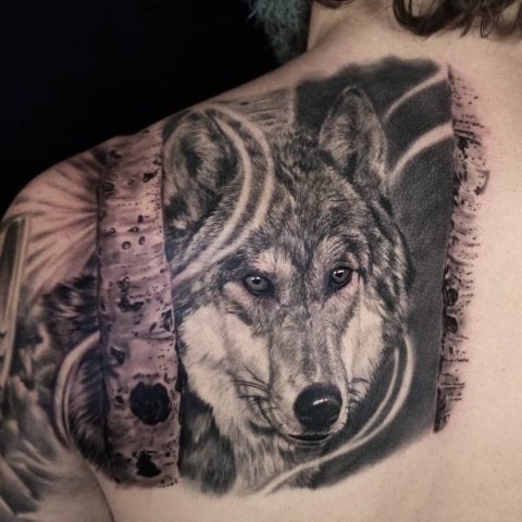 Tatuaż wilka na plecach