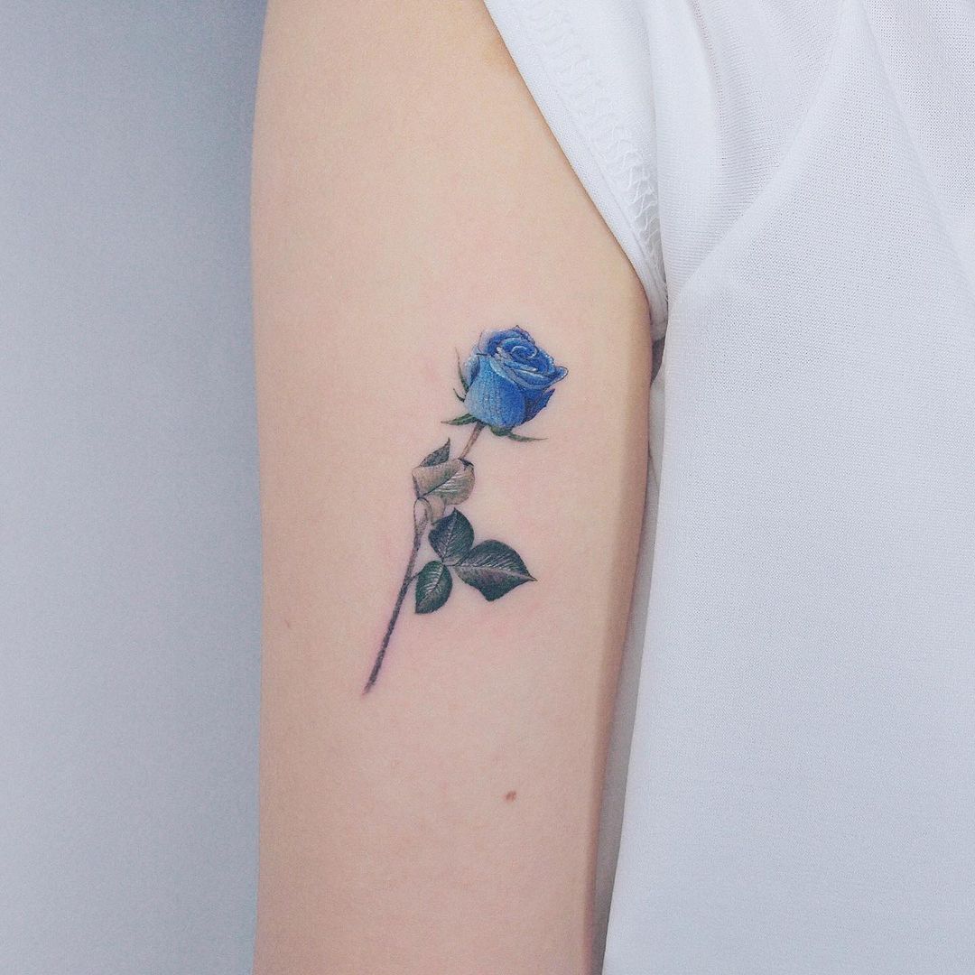 Синяя роза в бутоне
